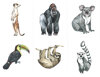 Obrázek Třísložkové karty zvířata celého světa