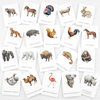 Obrázek Třísložkové karty: Zvířata